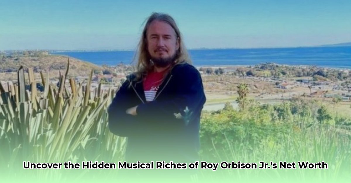 roy orbison jr net worth